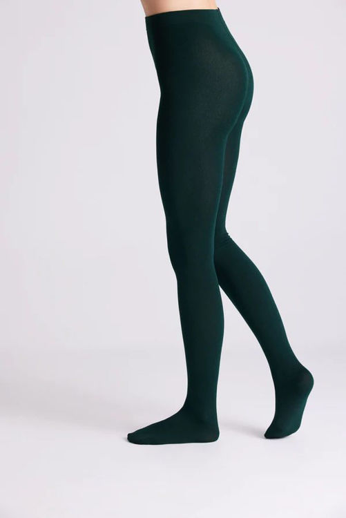 Picture of HIGH QUALITY COTTON THERMAL TIGHTS ARMY GREEN / VERDEBELLO